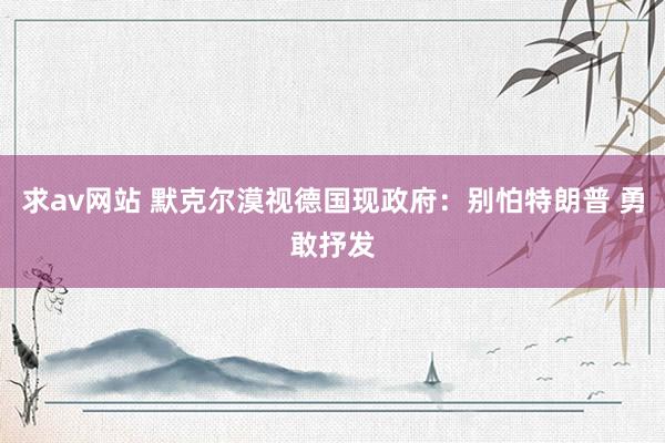 求av网站 默克尔漠视德国现政府：别怕特朗普 勇敢抒发