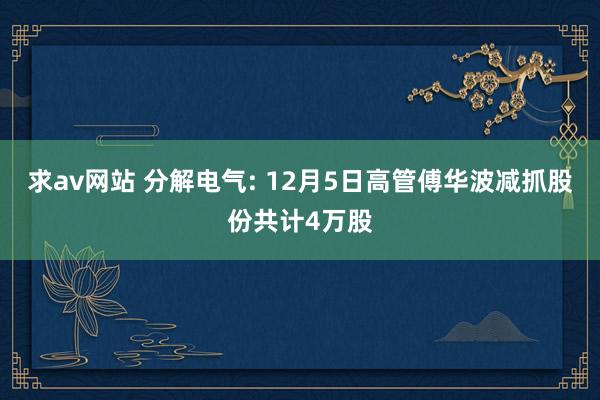 求av网站 分解电气: 12月5日高管傅华波减抓股份共计4万股