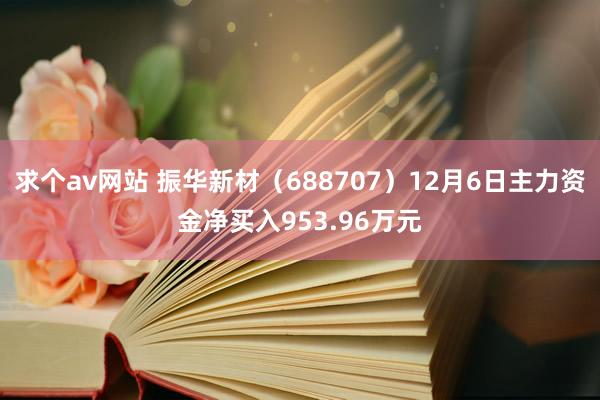 求个av网站 振华新材（688707）12月6日主力资金净买入953.96万元