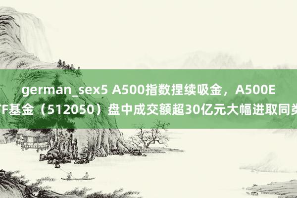 german_sex5 A500指数捏续吸金，A500ETF基金（512050）盘中成交额超30亿元大幅进取同类