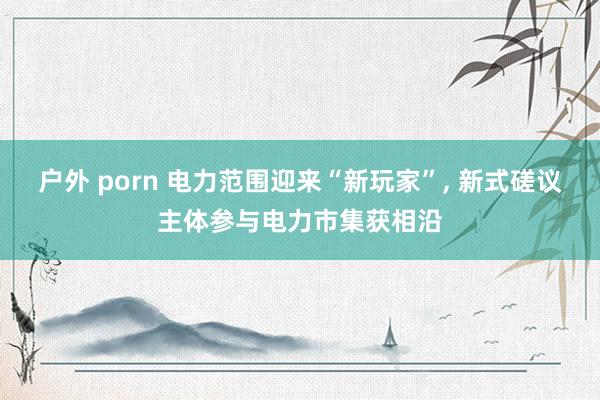 户外 porn 电力范围迎来“新玩家”， 新式磋议主体参与电力市集获相沿