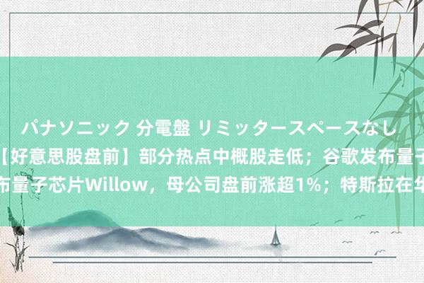 パナソニック 分電盤 リミッタースペースなし 露出・半埋込両用形 【好意思股盘前】部分热点中概股走低；谷歌发布量子芯片Willow，母公司盘前涨超1%；特斯拉在华周销量创季度新高