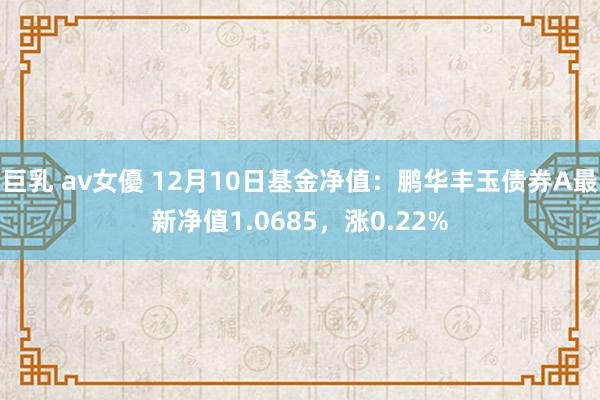 巨乳 av女優 12月10日基金净值：鹏华丰玉债券A最新净值1.0685，涨0.22%