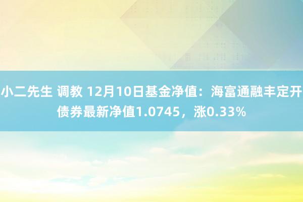 小二先生 调教 12月10日基金净值：海富通融丰定开债券最新净值1.0745，涨0.33%