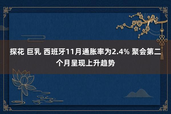 探花 巨乳 西班牙11月通胀率为2.4% 聚会第二个月呈现上升趋势