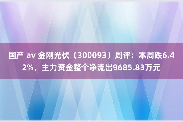 国产 av 金刚光伏（300093）周评：本周跌6.42%，主力资金整个净流出9685.83万元