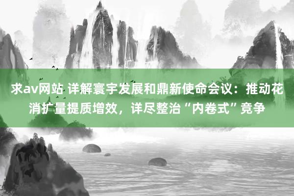 求av网站 详解寰宇发展和鼎新使命会议：推动花消扩量提质增效，详尽整治“内卷式”竞争