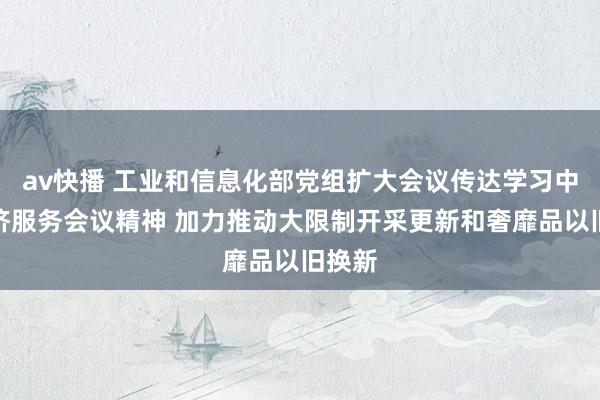 av快播 工业和信息化部党组扩大会议传达学习中央经济服务会议精神 加力推动大限制开采更新和奢靡品以旧换新