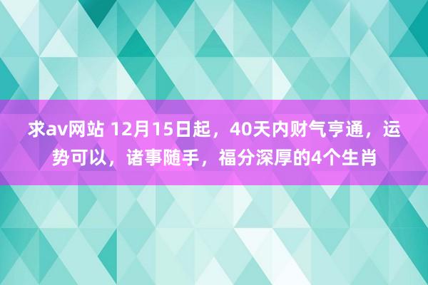 求av网站 12月15日起，40天内财气亨通，运势可以，诸事随手，福分深厚的4个生肖