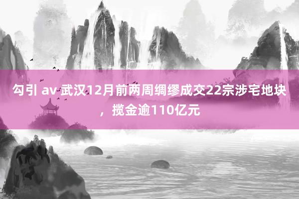 勾引 av 武汉12月前两周绸缪成交22宗涉宅地块，揽金逾110亿元