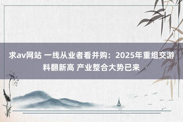 求av网站 一线从业者看并购：2025年重组交游料翻新高 产业整合大势已来