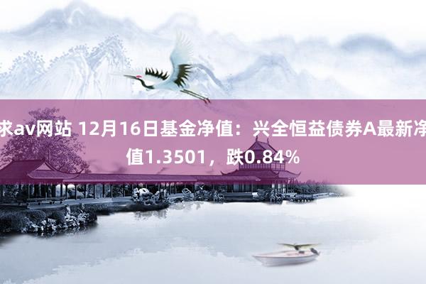 求av网站 12月16日基金净值：兴全恒益债券A最新净值1.3501，跌0.84%