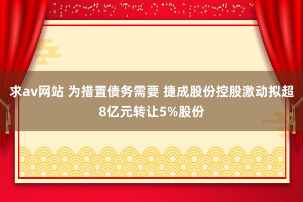 求av网站 为措置债务需要 捷成股份控股激动拟超8亿元转让5%股份