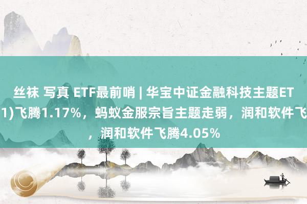 丝袜 写真 ETF最前哨 | 华宝中证金融科技主题ETF(159851)飞腾1.17%，蚂蚁金服宗旨主题走弱，润和软件飞腾4.05%