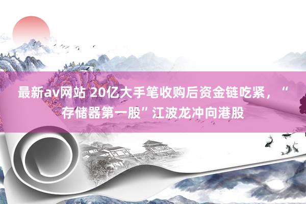 最新av网站 20亿大手笔收购后资金链吃紧，“存储器第一股”江波龙冲向港股