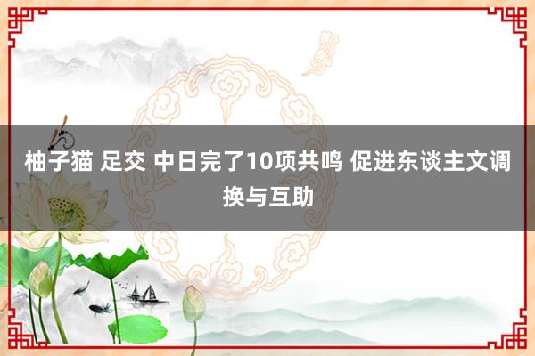 柚子猫 足交 中日完了10项共鸣 促进东谈主文调换与互助