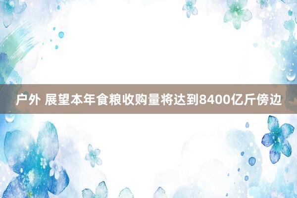 户外 展望本年食粮收购量将达到8400亿斤傍边