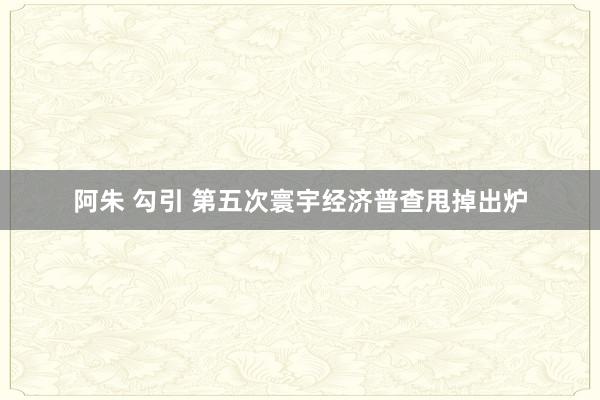 阿朱 勾引 第五次寰宇经济普查甩掉出炉