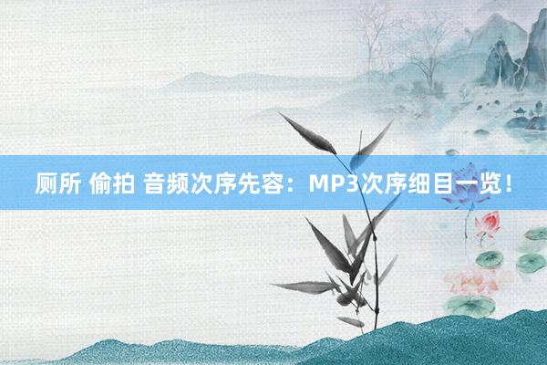 厕所 偷拍 音频次序先容：MP3次序细目一览！