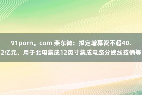 91porn。com 燕东微：拟定增募资不超40.2亿元，用于北电集成12英寸集成电路分娩线技俩等