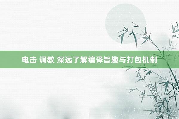 电击 调教 深远了解编译旨趣与打包机制