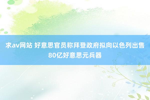 求av网站 好意思官员称拜登政府拟向以色列出售80亿好意思元兵器