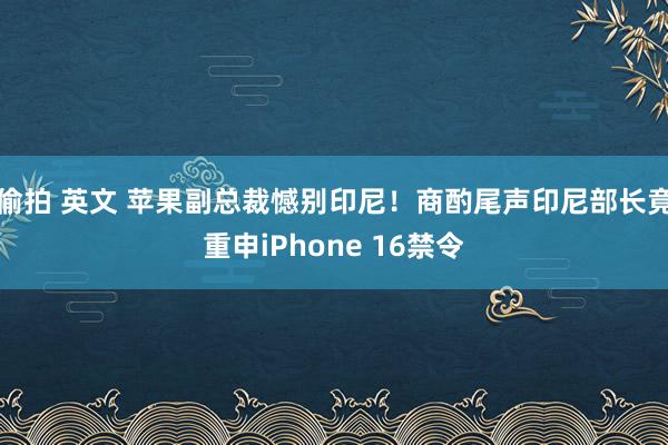 偷拍 英文 苹果副总裁憾别印尼！商酌尾声印尼部长竟重申iPhone 16禁令