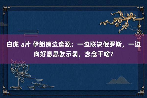 白虎 a片 伊朗傍边逢源：一边联袂俄罗斯，一边向好意思欧示弱，念念干啥？