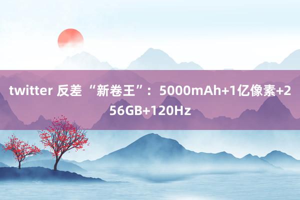 twitter 反差 “新卷王”：5000mAh+1亿像素+256GB+120Hz